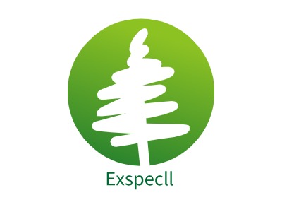 Exspeclllogo标志设计