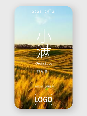 实景 24节气 小满 海报设计