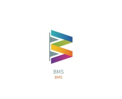 BMS企业标志设计
