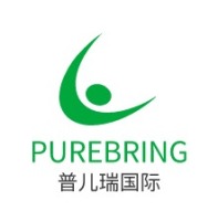 广西PUREBRING品牌logo设计