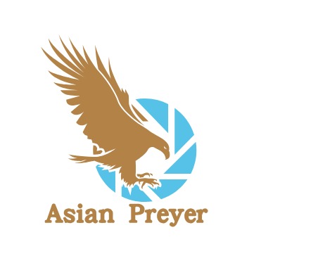 Asian PreyerLOGO设计