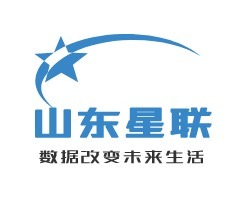 广东山东星联公司logo设计