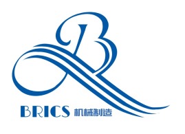 BRICS 企业标志设计