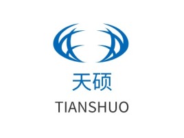 南京天硕公司logo设计