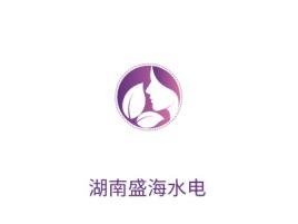 湖南盛海水电公司logo设计