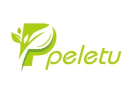 绵阳peletu公司logo设计