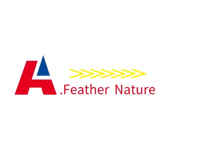 .Feather NatureLOGO设计