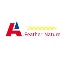 山东.Feather Nature公司logo设计