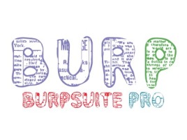 襄阳burpsuite公司logo设计
