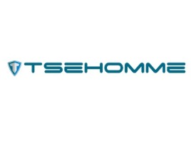 青岛tsehomme公司logo设计