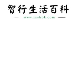 智行生活公司logo设计