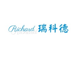 湖南Richard公司logo设计