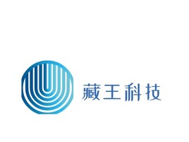 藏王科技公司logo設(shè)計(jì)