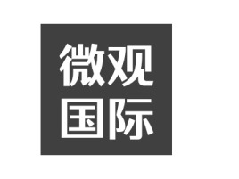 微观国际公司logo设计
