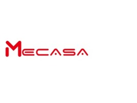 ECASA企业标志设计