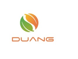海口Duang公司logo设计