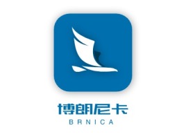 BRNICA公司logo设计