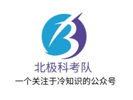 重庆北极科考队名宿logo设计
