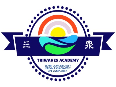 TRIWAVES  ACADEMYLOGO设计