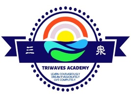 TRIWAVES??ACADEMYlogo標志設計