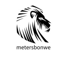 metersbonwe店铺标志设计
