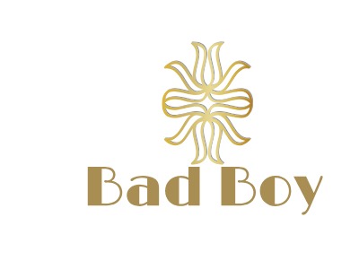     Bad Boy
LOGO设计