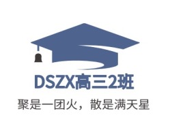 DSZX高三2班logo标志设计