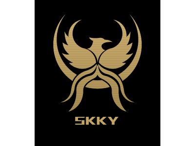 SKKYLOGO设计