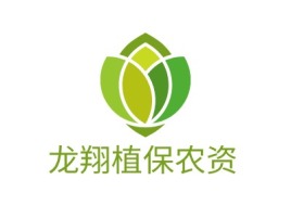 龙翔植保农资品牌logo设计