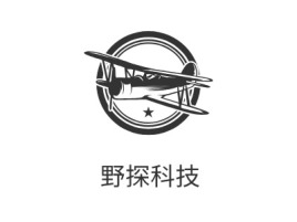 野探科技logo标志设计