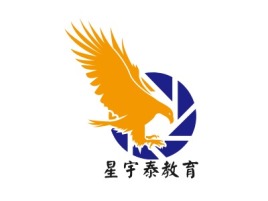 星宇泰教育logo标志设计