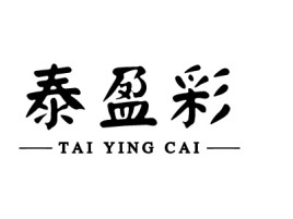泰盈彩门店logo设计