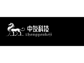 福建中友科技公司logo设计
