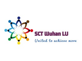 湖北SCT Wuhan LU公司logo设计