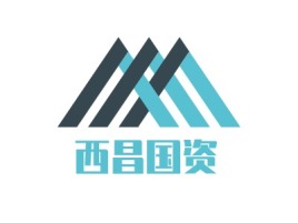 西昌国资公司logo设计