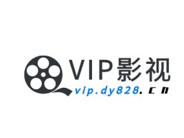 贵州vip.dy828logo标志设计