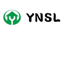 YNSL企业标志设计