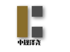 中规泽尧公司logo设计