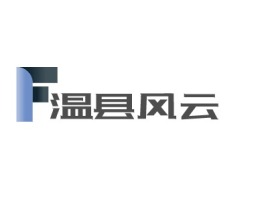 广西温县风云公司logo设计