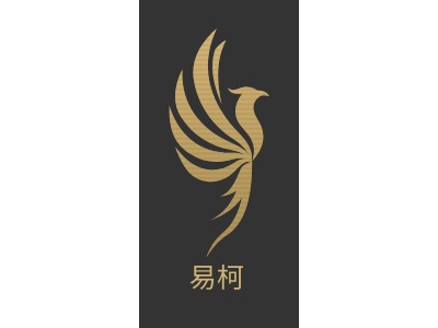 易柯LOGO设计