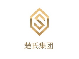 楚氏集团公司logo设计