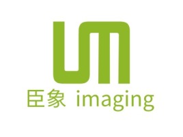 臣象 imaging金融公司logo设计