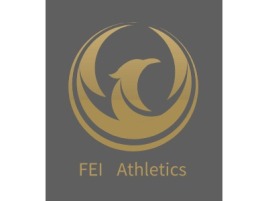 湖南FEI  Athleticslogo标志设计