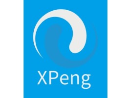 XPeng金融公司logo设计