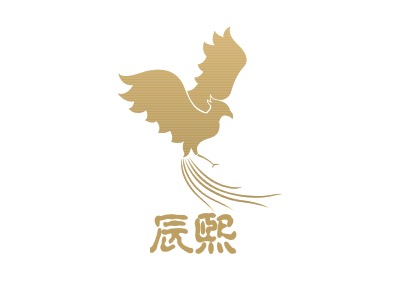 辰熙LOGO設(shè)計(jì)