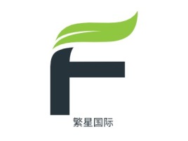 河南繁星国际金融公司logo设计