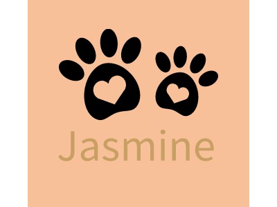 JasmineLOGO设计