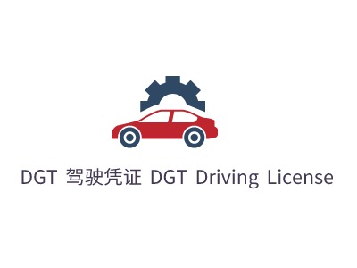 DGT 驾驶凭证 DGT Driving LicenseLOGO设计