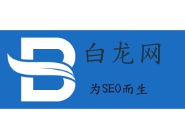 白龙网logo标志设计