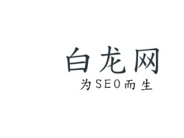 白龙网logo标志设计